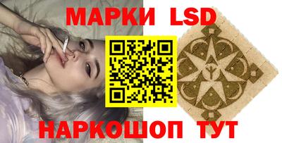 стаф Будённовск