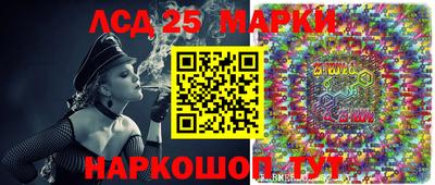 стаф Будённовск