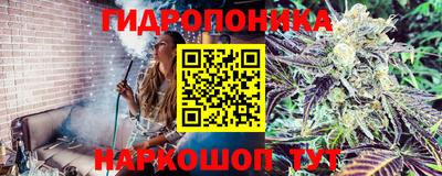 стаф Будённовск
