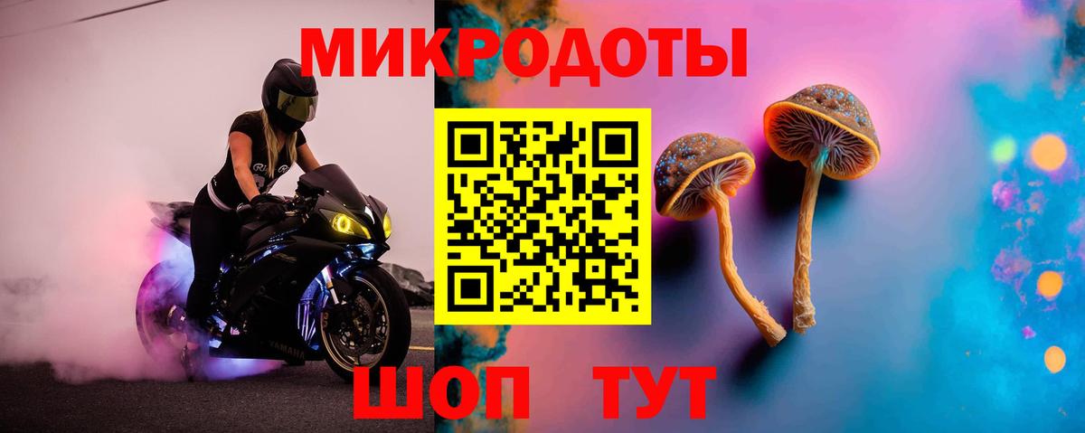 Псилоцибиновые грибы MAGIC MUSHROOMS Химки